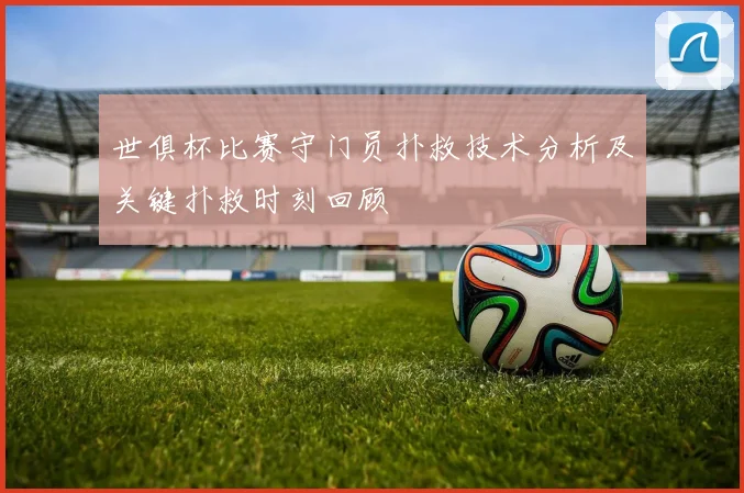 世俱杯比赛守门员扑救技术分析及关键扑救时刻回顾