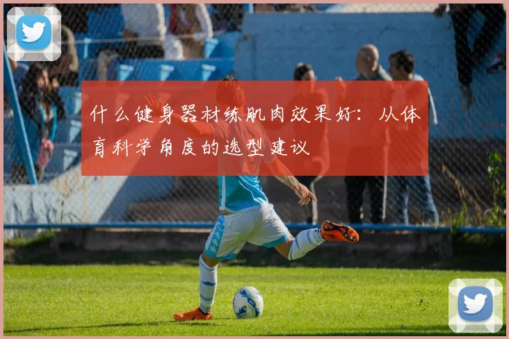 什么健身器材练肌肉效果好：从体育科学角度的选型建议