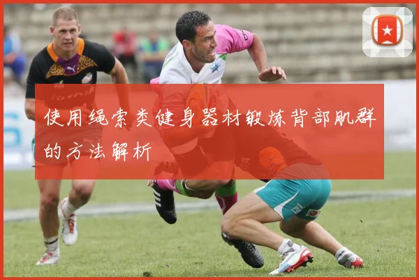 使用绳索类健身器材锻炼背部肌群的方法解析