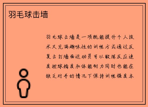 羽毛球击墙