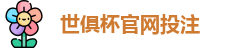 2025世界俱乐部杯